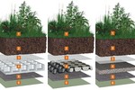 Sisteme de acoperis Bauder cu vegetatie intensiva