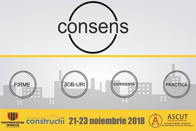 Consens 2018 - Firme, joburi, experienta, practica