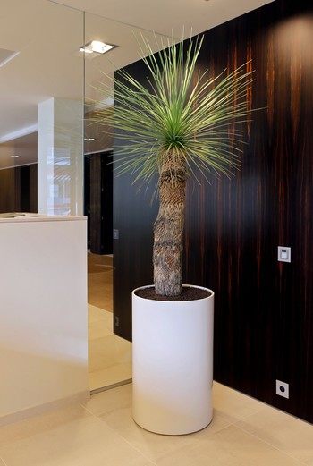 HI-MACS - materialul ideal pentru amenajari exterioare