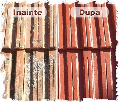 BORNIT® - restaurare tigla acoperis