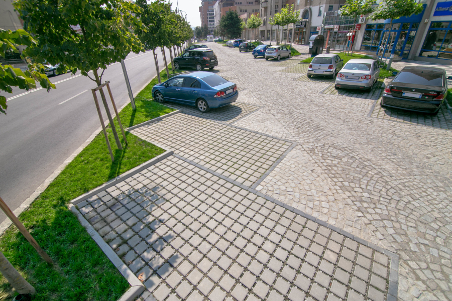 Elis Pavaje: Fundatia care rezista