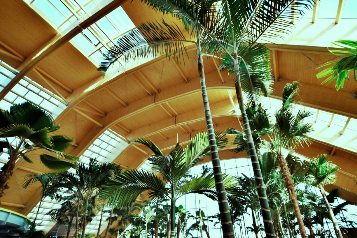 GLULAM a realizat structura din lemn de la THERME NORD BUCURESTI, Corp Galaxy