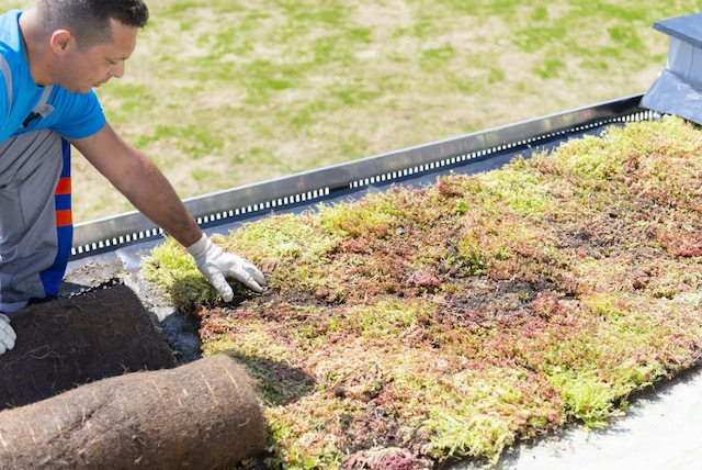 Urbanscape de la Knauf Insulation: Acoperisul verde, alegerea sanatoasa pentru o casa moderna