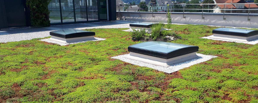 Urbanscape de la Knauf Insulation: Acoperisul verde, alegerea sanatoasa pentru o casa moderna