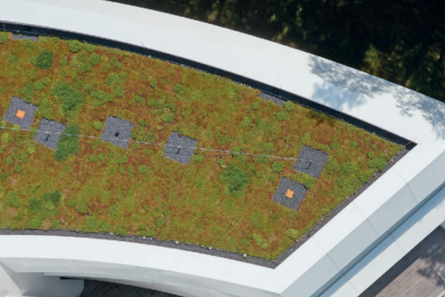 Sisteme de acoperisuri sigure verzi cu retentie de apa de la Bauder