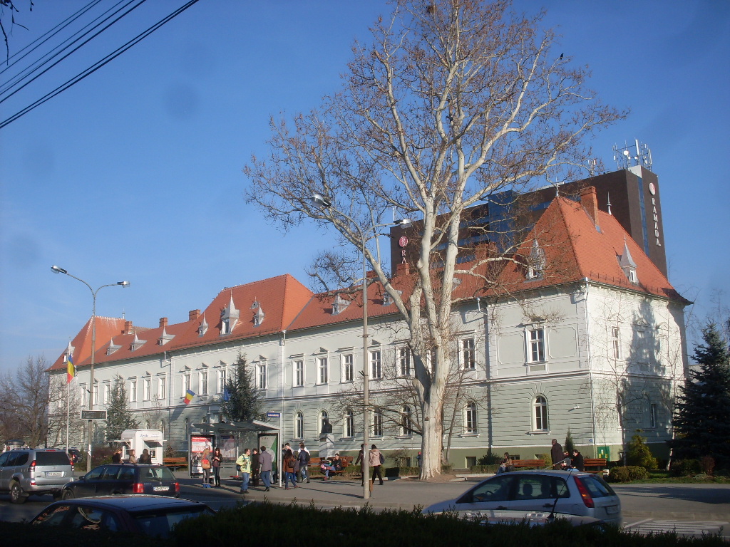 Primaria veche, Sibiu