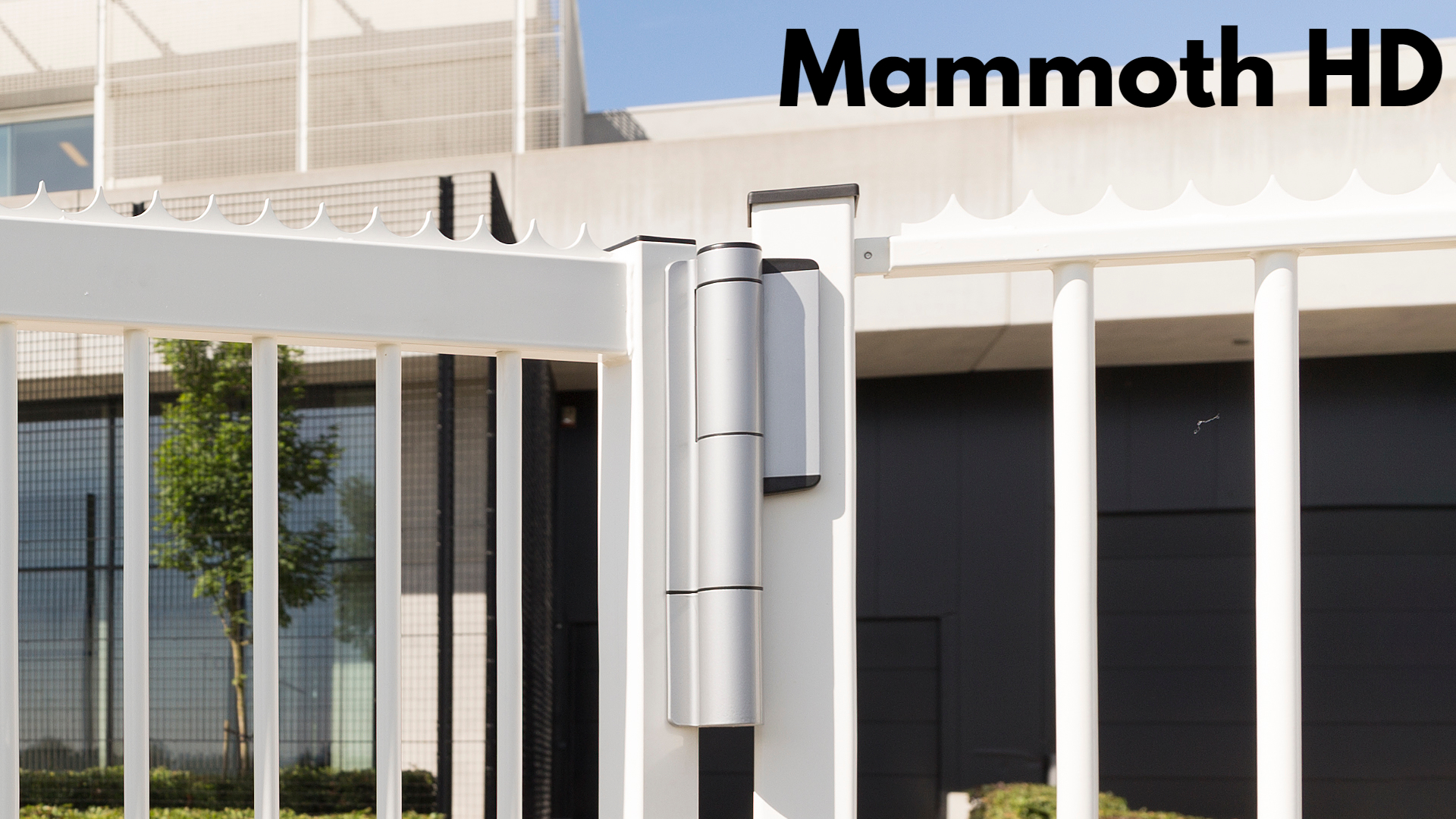 Amortizor Locinox Mammoth HD
