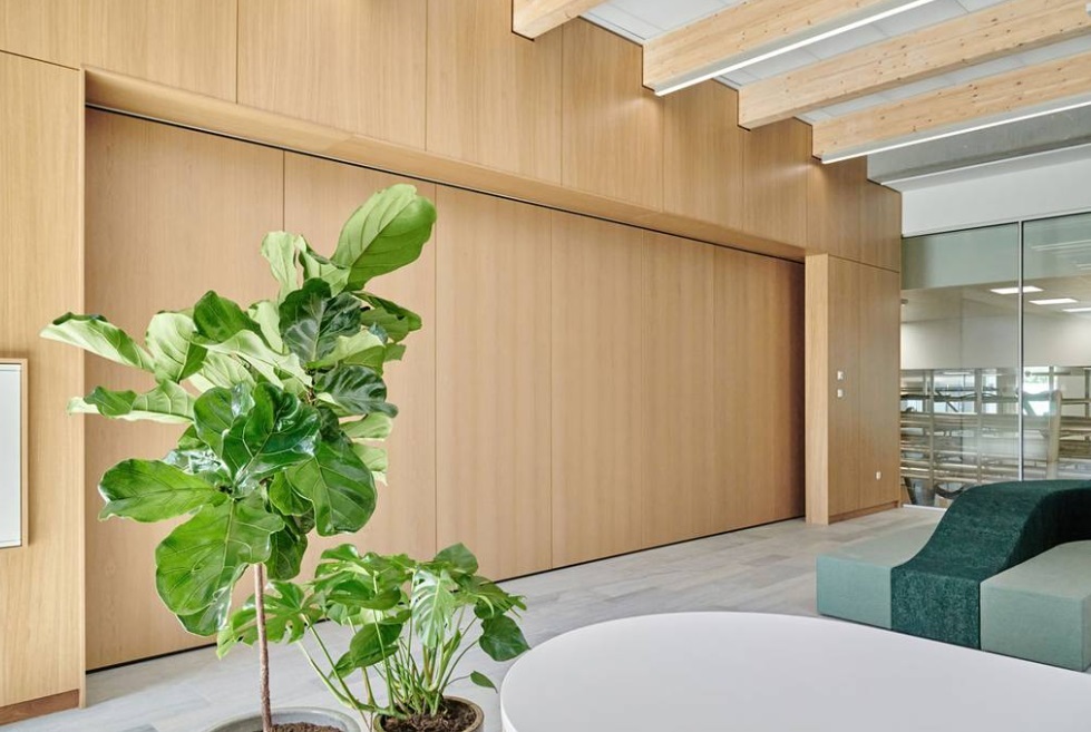 DEKO's minimalist and functional partition solutions in a detailed wooden design