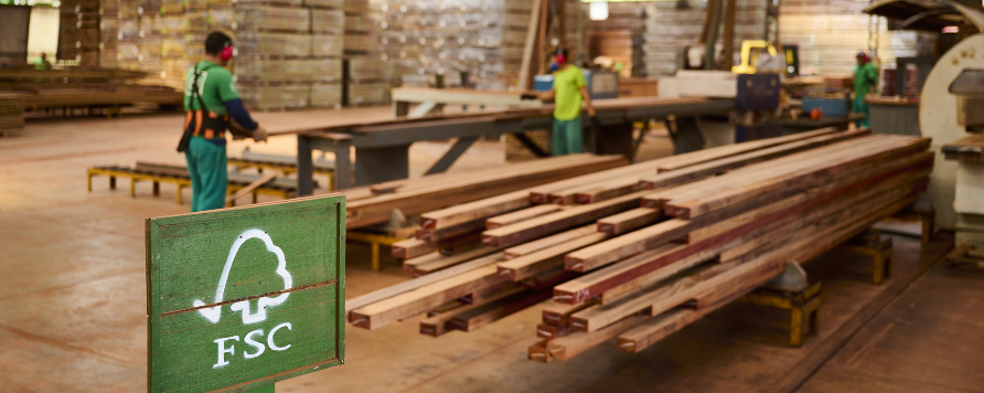 Jatoba, lemnul tropical certificat FSC, utilizat la fabricarea produselor mmcité