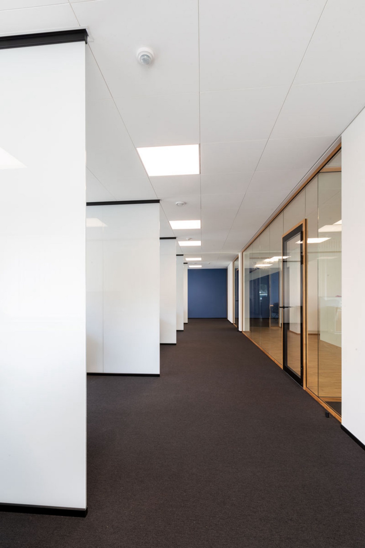 DEKO partition - fast and flexible space division solutions for workspaces