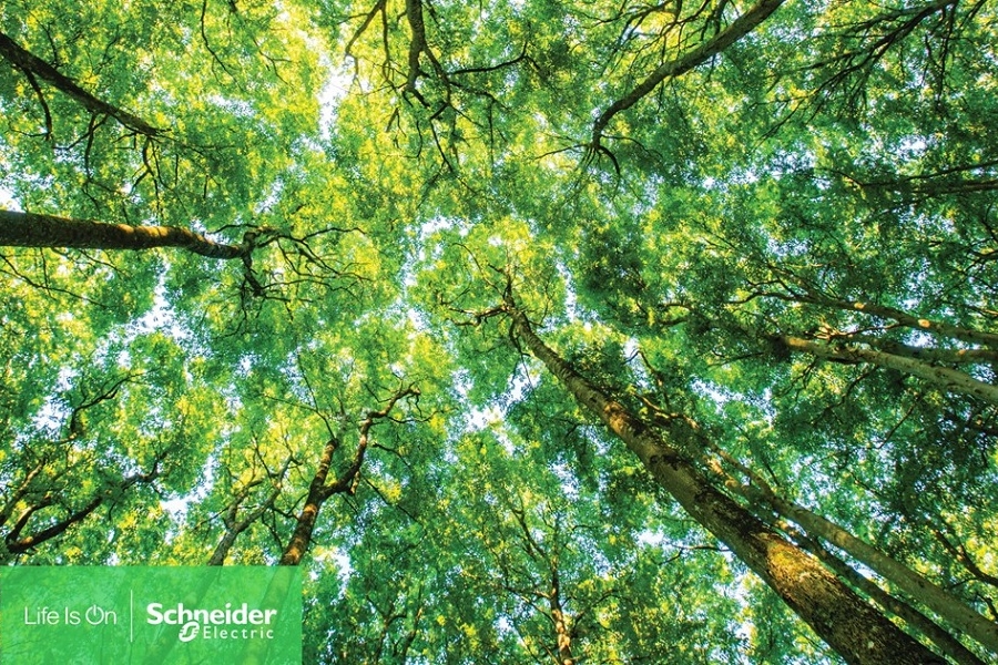 Schneider Electric se claseaza pe locul 1 in Gartner® Top 25 Supply Chain pentru al treilea an consecutiv