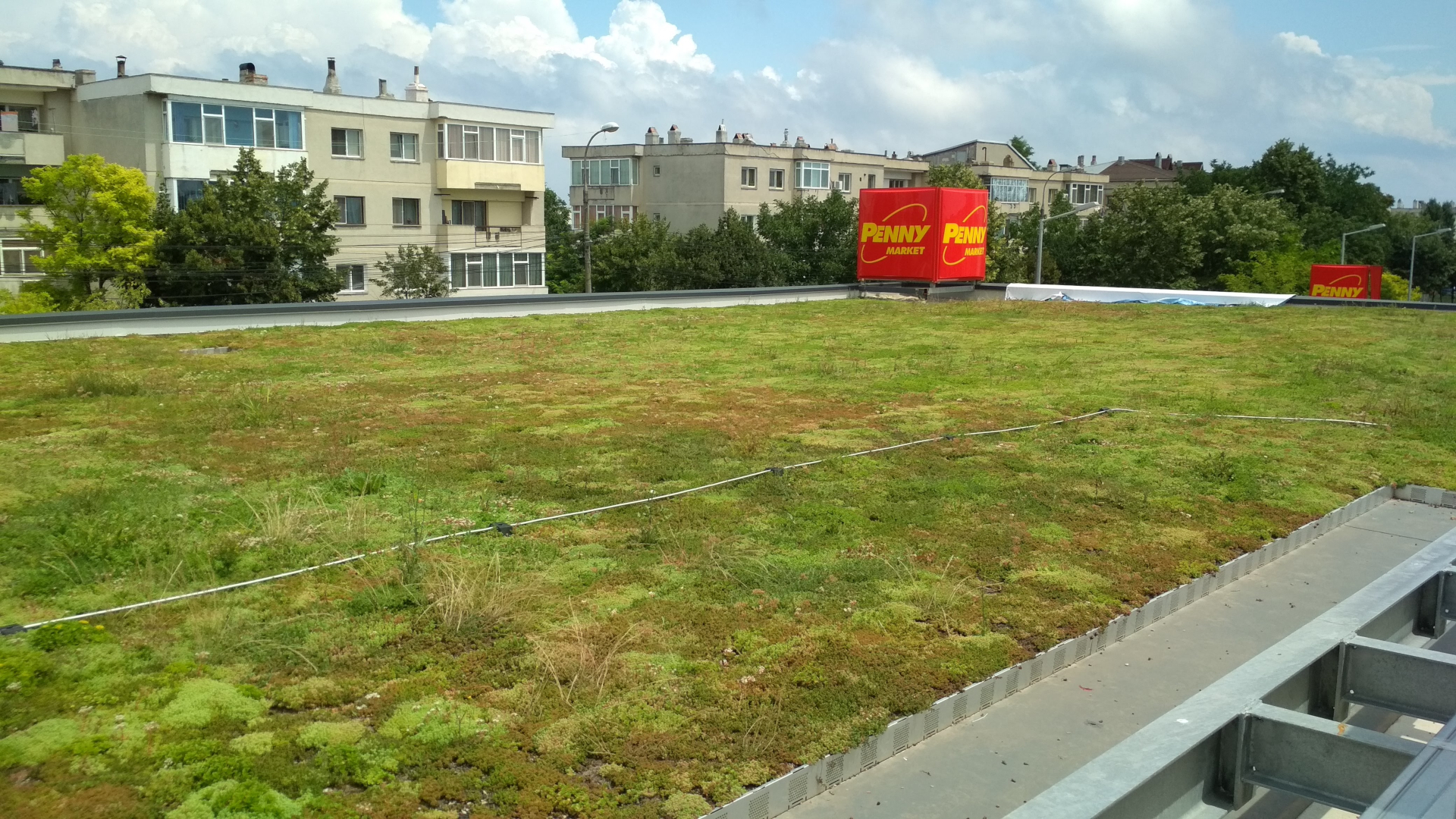 Sistem de acoperis verde extensiv Ecostratos - Penny, Mangalia