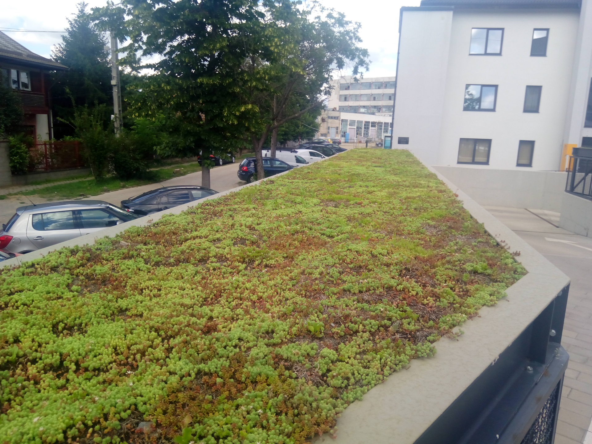 Sistem de acoperis verde extensiv ultra-light Ecostratos - City of Mara, Timisoara