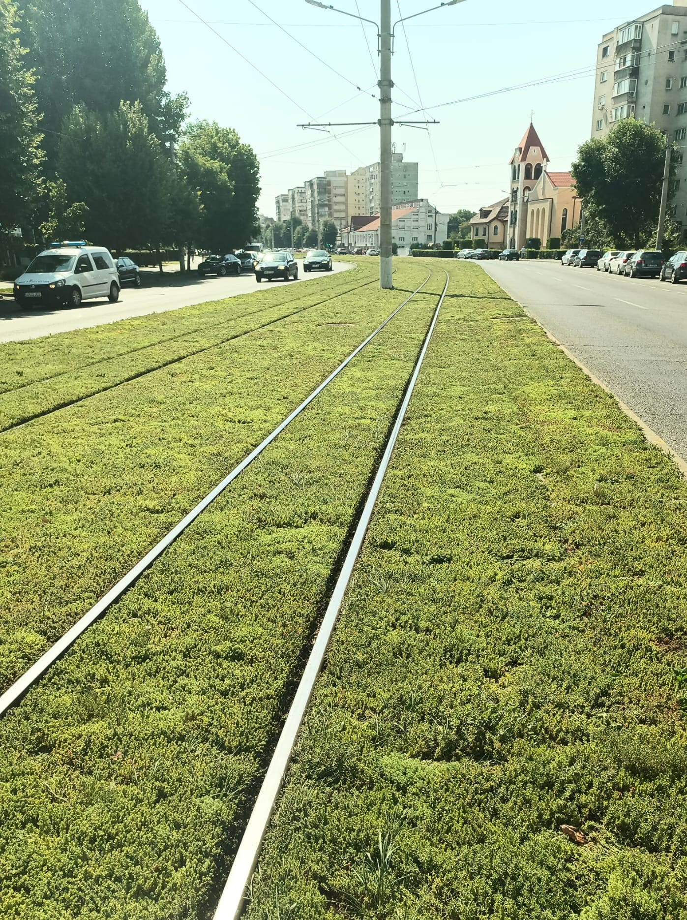 Sistem de acoperis verde extensiv ultra-light Ecostratos - Linii de tramvai inverzite, Arad