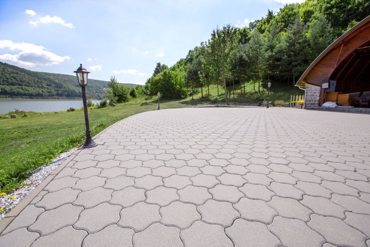 Pavele si dale Standard Floare 2