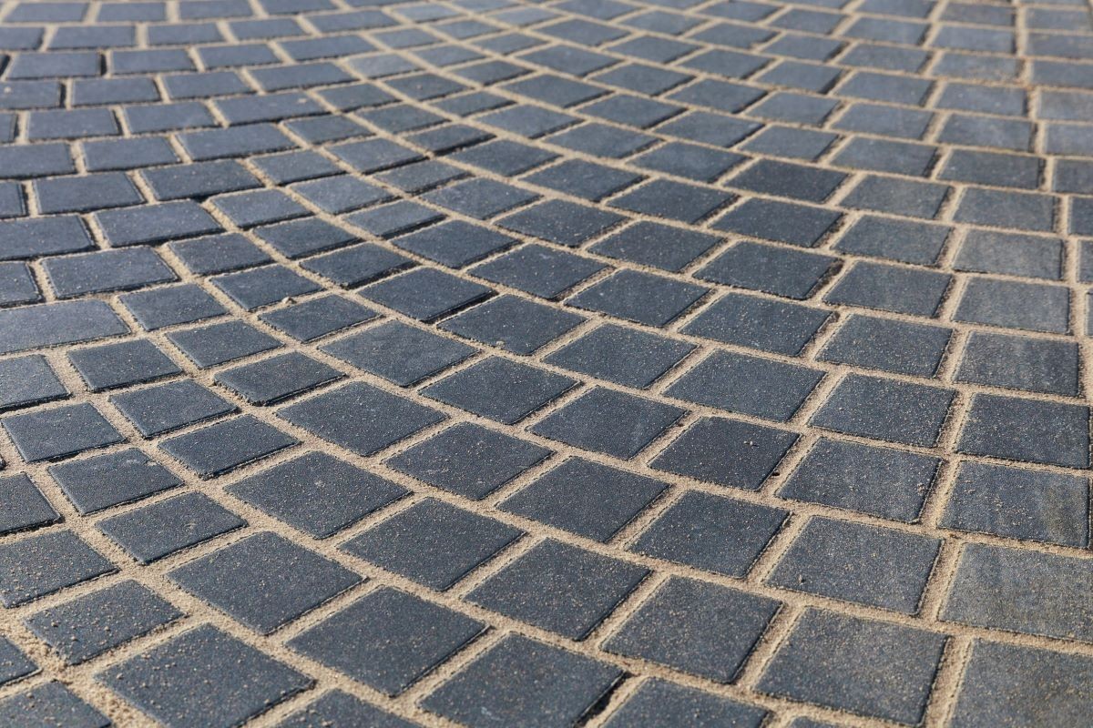 Pavele si dale premium Arcade