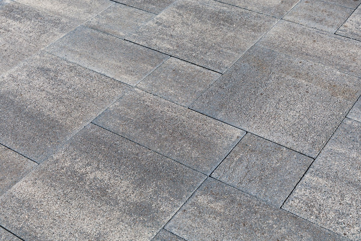 Pavele Premium Plus Baroc P9 - Nerida