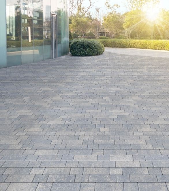 Pavele Premium Plus Kult P3