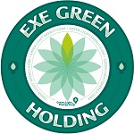 a_43_d_6_1596728340263_exe_green_holding_logo_150x150.jpg