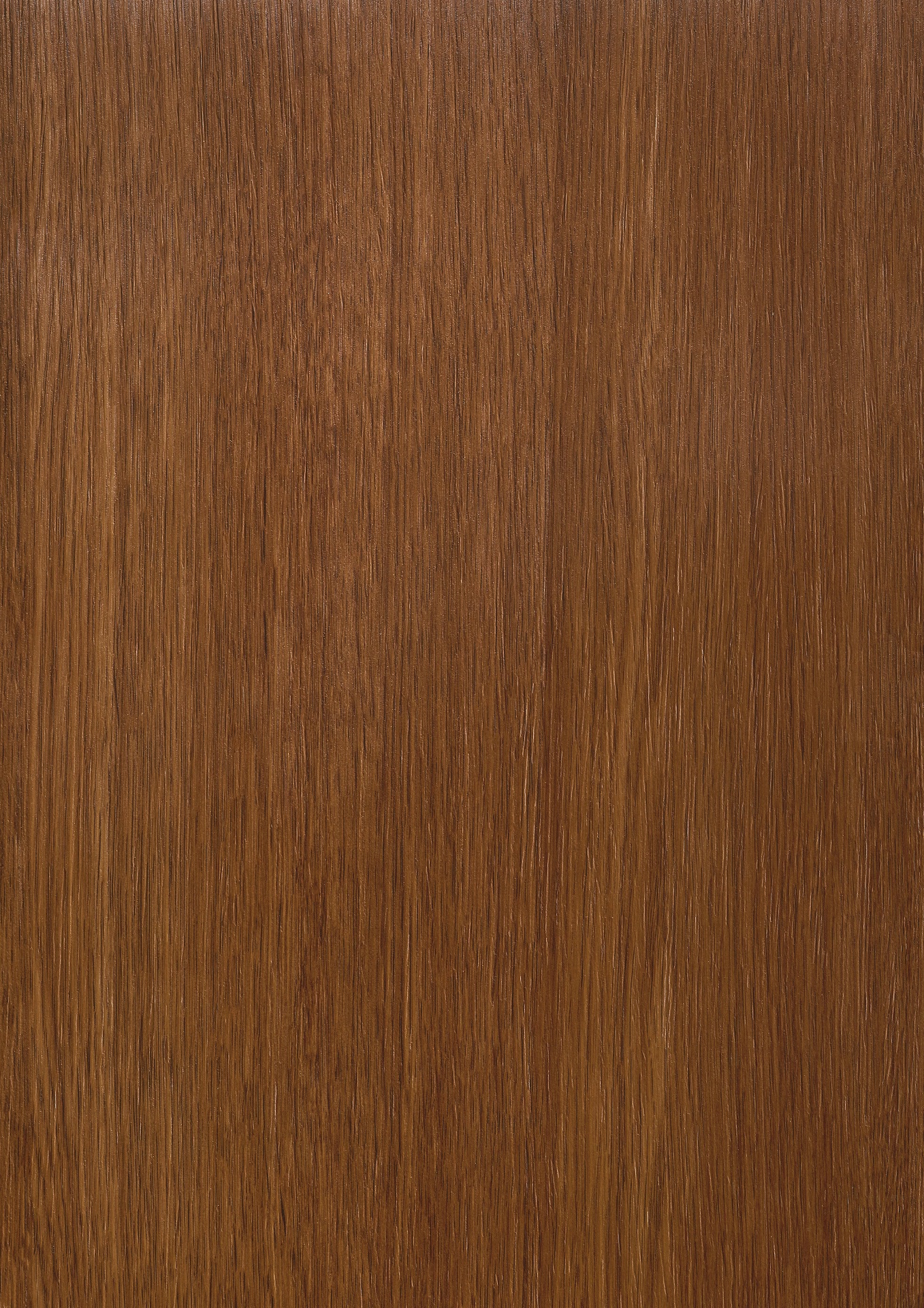 Folii decorative Realwood Honey Oak