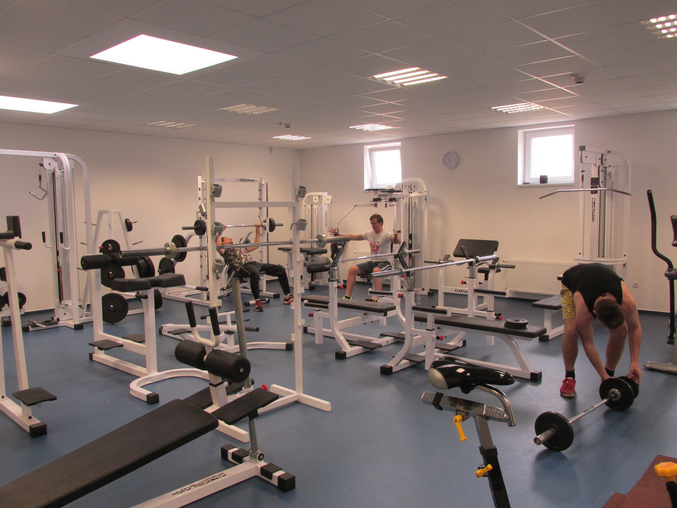 Pardoseli sportive wellness/fitness Grabo