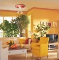 saarpor_romdeco_decosa_2