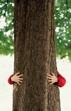 egger_divizia_parchet_ecobilant_pozitiv