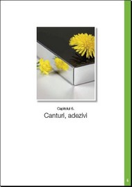 forest_hungary_capitolul_6_canturi_adezivi
