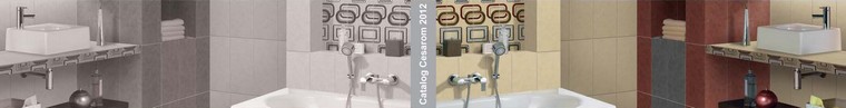 lasselsberger_cesarom_noul_catalog_cesarom_2012_header