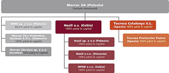 mercor_structura_grupului_mercor