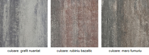 Dale Semmelrock - ASTI® Colori