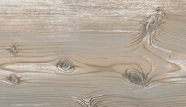 egger_pure_modern_2