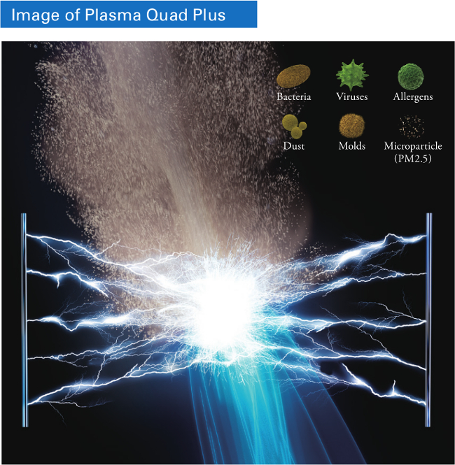 Plasma Quad Plus