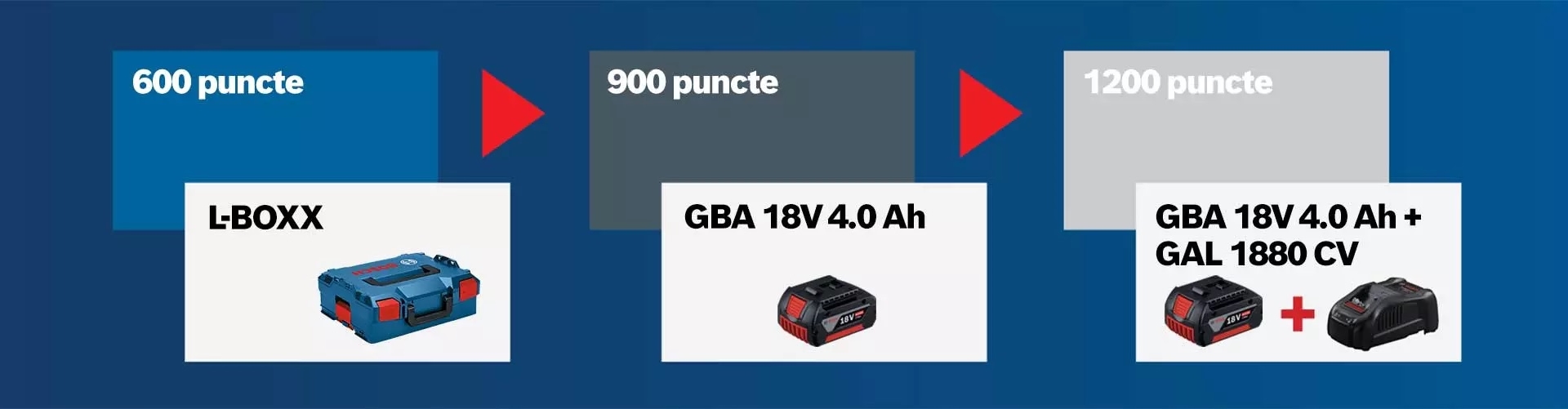 Cumperi mai mult, castigi mai mult cu Bosch Profesional