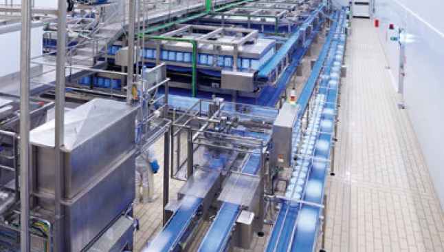 Greenway® Neo N, ales pentru siguranta si performanta sa in doua mari fabrici de branzeturi din Spania