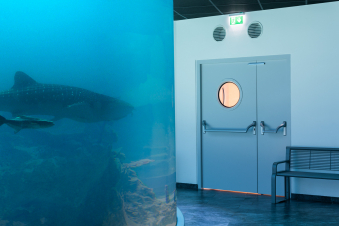 Elegant steel doors from Domoferm as part of the expansion of the Haus des Meeres