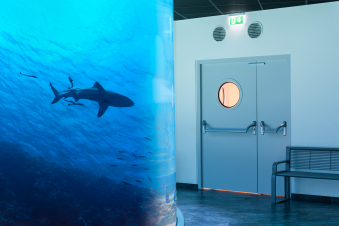 Elegant steel doors from Domoferm as part of the expansion of the Haus des Meeres