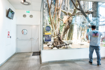 Elegant steel doors from Domoferm as part of the expansion of the Haus des Meeres