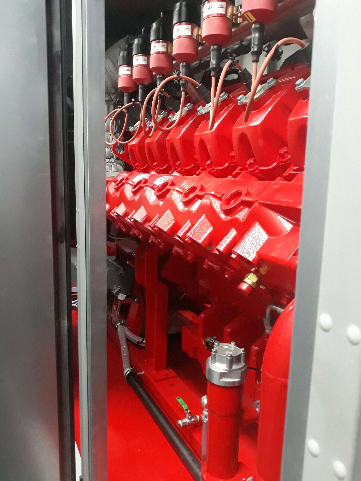 Cogenerarea pe gaz natural in industria piscicola – Wolf GTK 260M