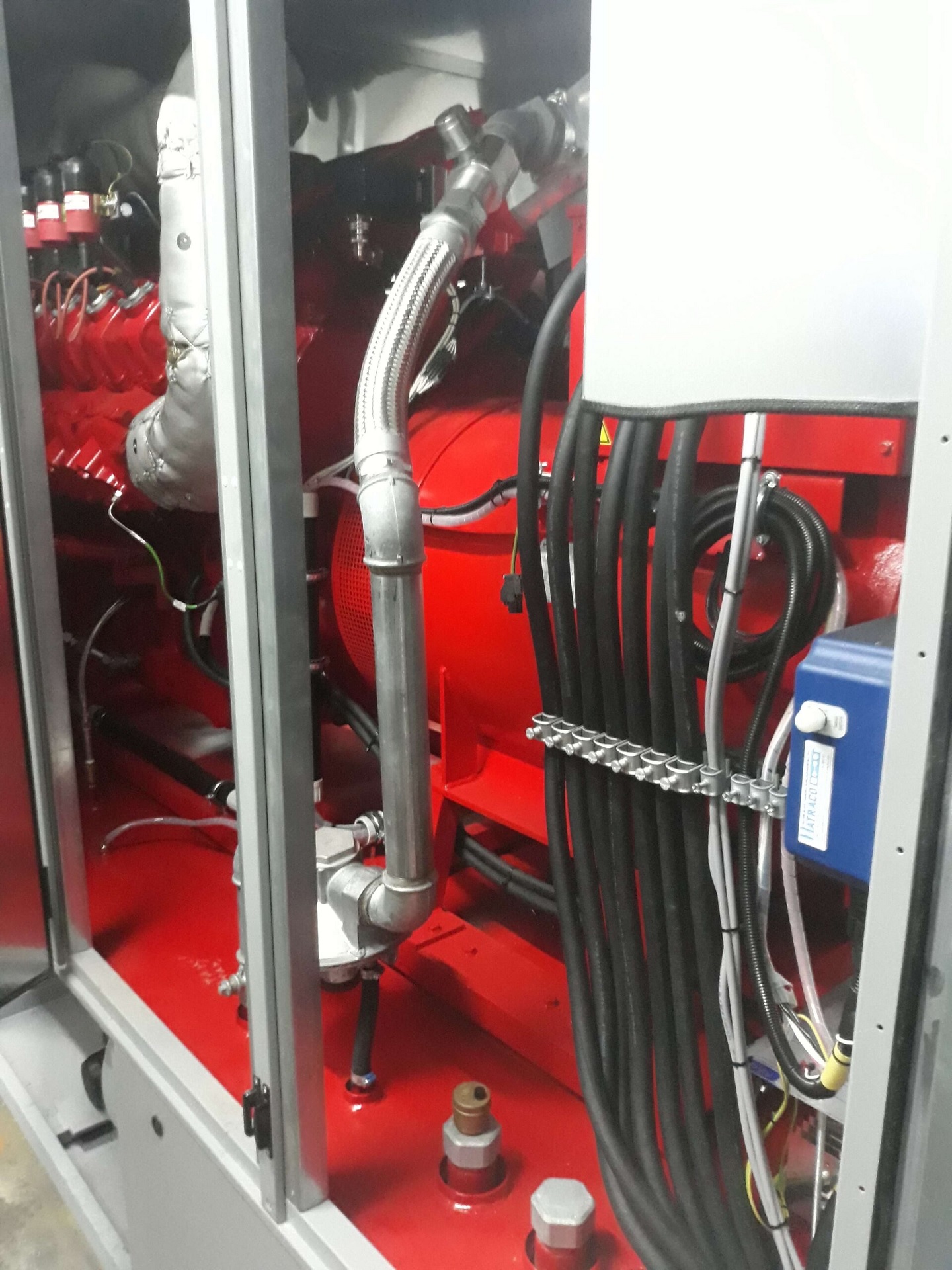 Cogenerarea pe gaz natural in industria piscicola – Wolf GTK 260M