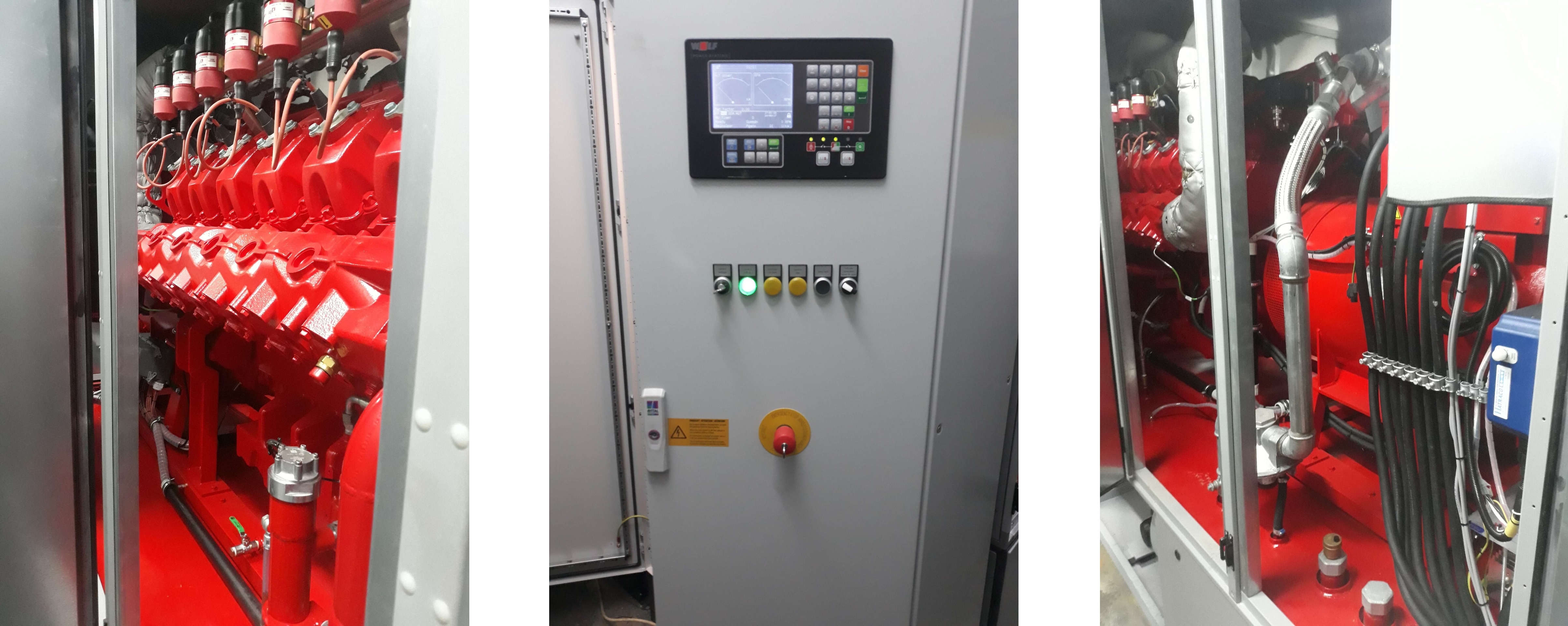 Cogenerarea pe gaz natural in industria piscicola – Wolf GTK 260M