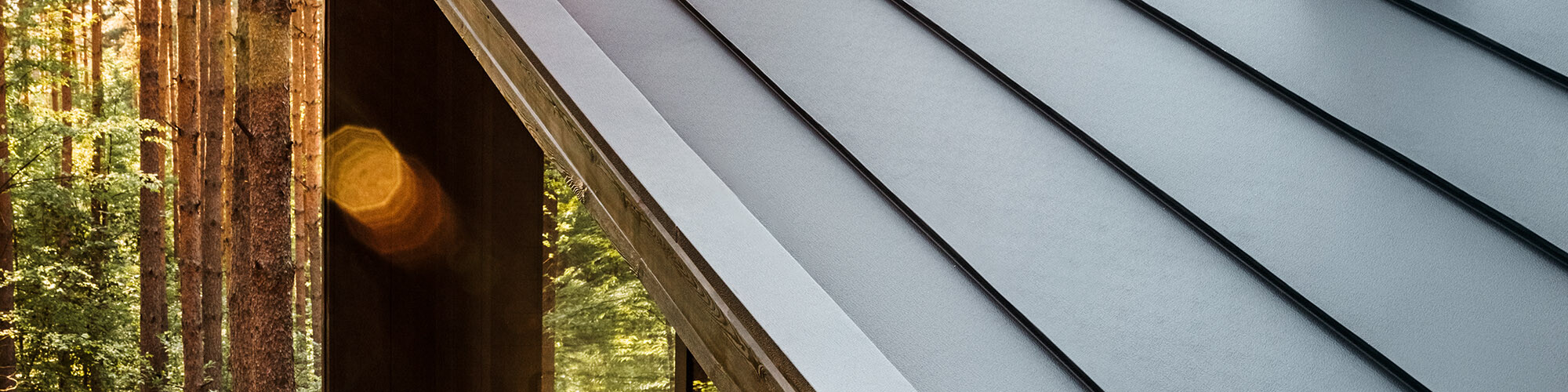 Boroteka – Rejuvenation in the Forest with a PREFA roof