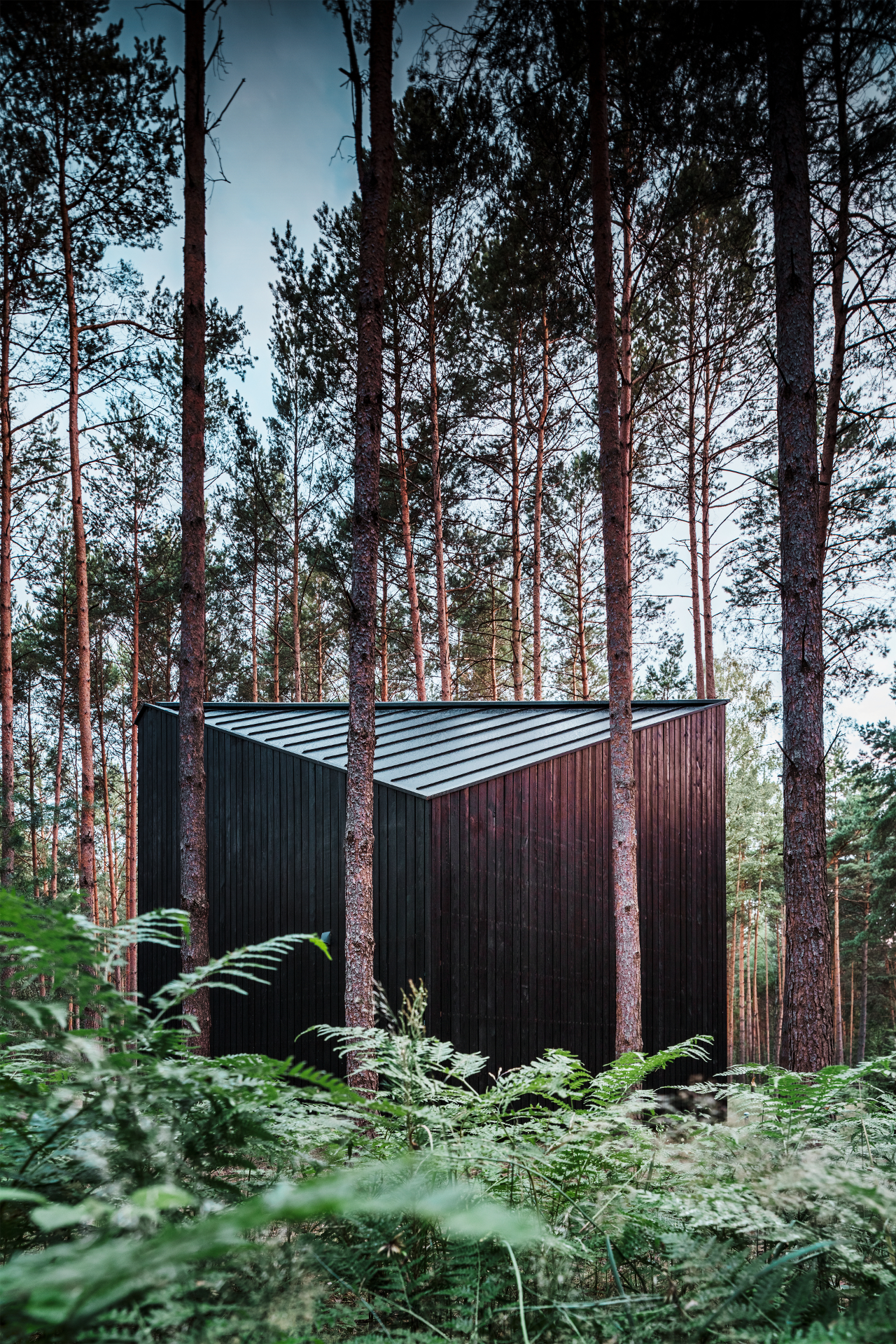Boroteka – Rejuvenation in the Forest with a PREFA roof