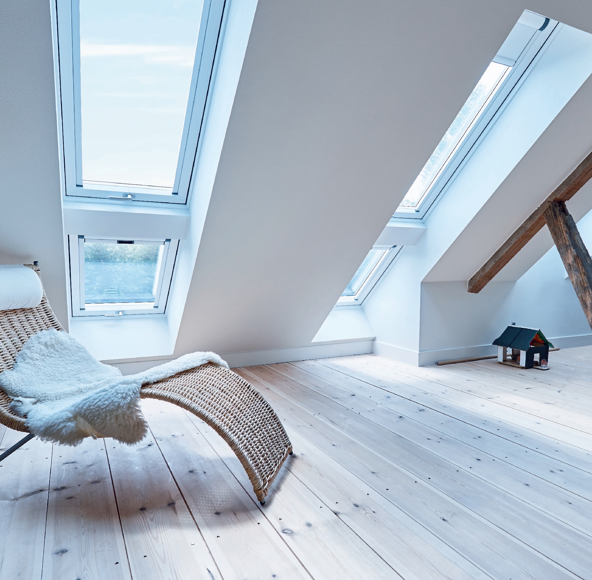 Roto products used at a historical property in Nijssen, the Netherlands