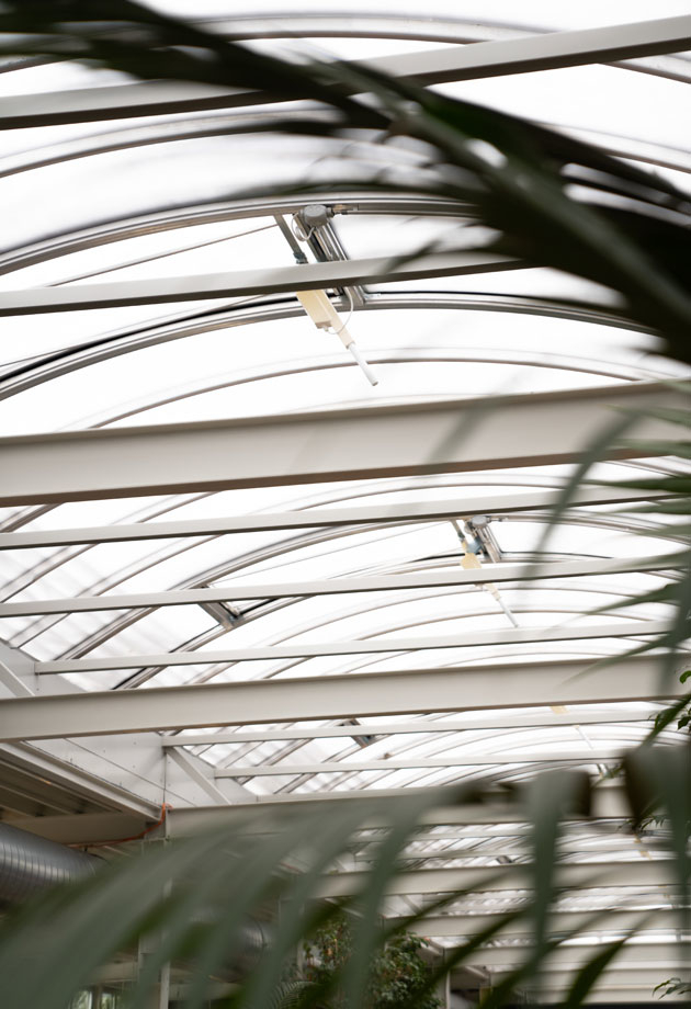 Solutii VELUX Commercial la Papiliorama, gradina zoologica din Elvetia