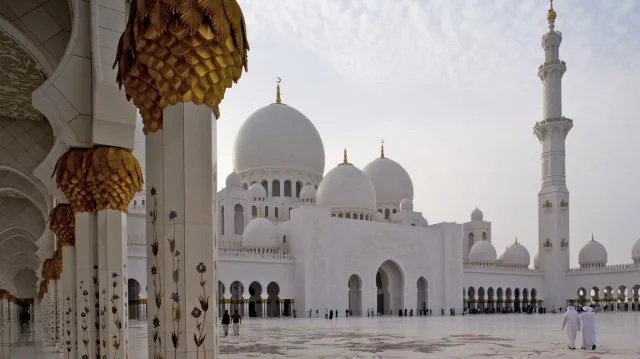 Detector optic liniar de fum Siemens FDL242 - Biserici si moschei