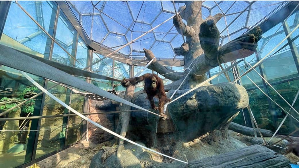 Sistem membrana Texlon® ETFE, de la Vector Foiltec