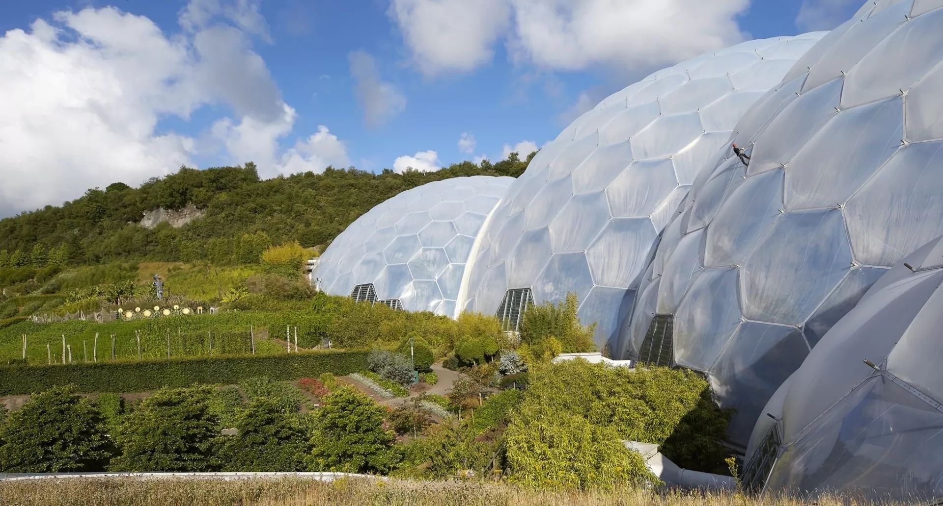 Sistem membrana Texlon® ETFE, de la Vector Foiltec